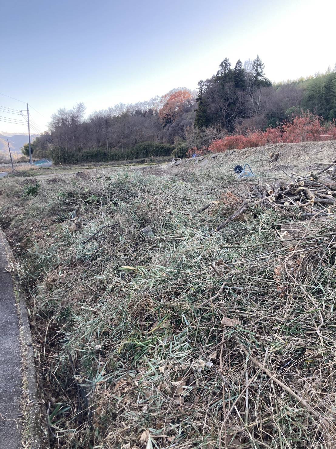 230坪の草刈り・伐採工事(畑の更地化作業)